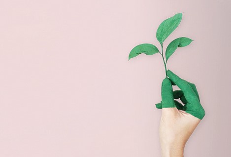 Biodegradability Emulium Dolcea MB