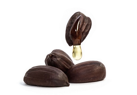 Jojoba seed