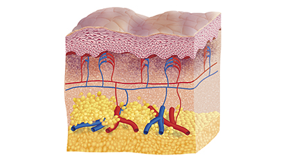 Mechanism Image Cytobiol Lumin-Eye