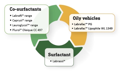 microemulsion components