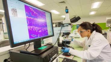 launch-of-3-excipients637-377-px