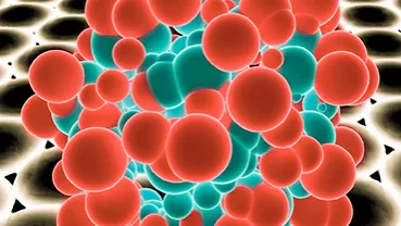 evidence-based-approach-oral-peptide-delivery-part1