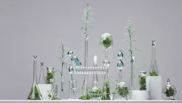 rophees-inpi-export-gattefosse