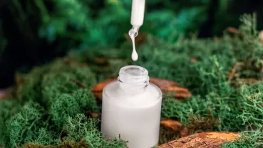 root renewal essence