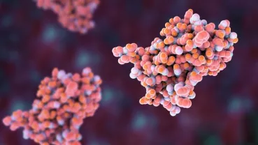 illustration showing peptides