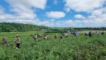 Action sociale Gattefossé