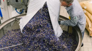 Impact environnement Gattefossé