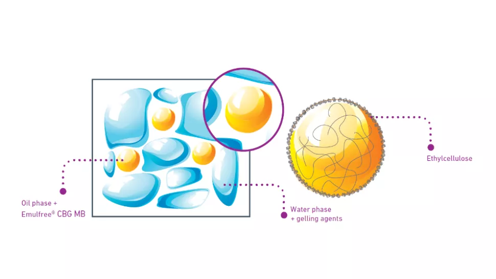 Bi-gel technology explaination