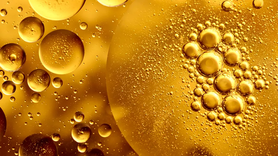 Masterclass chimie des lipides