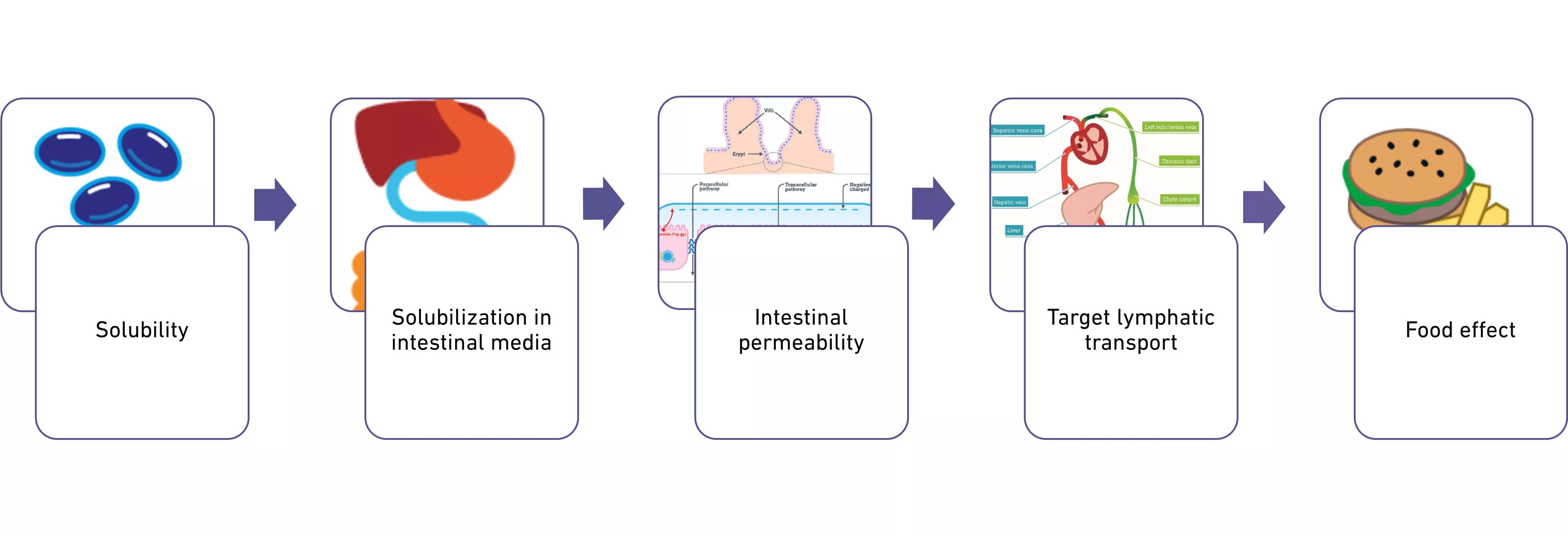 benefits-of-lipid-based-formulations-oral-route