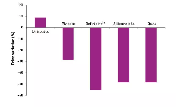 definicire-frizz-flyaways