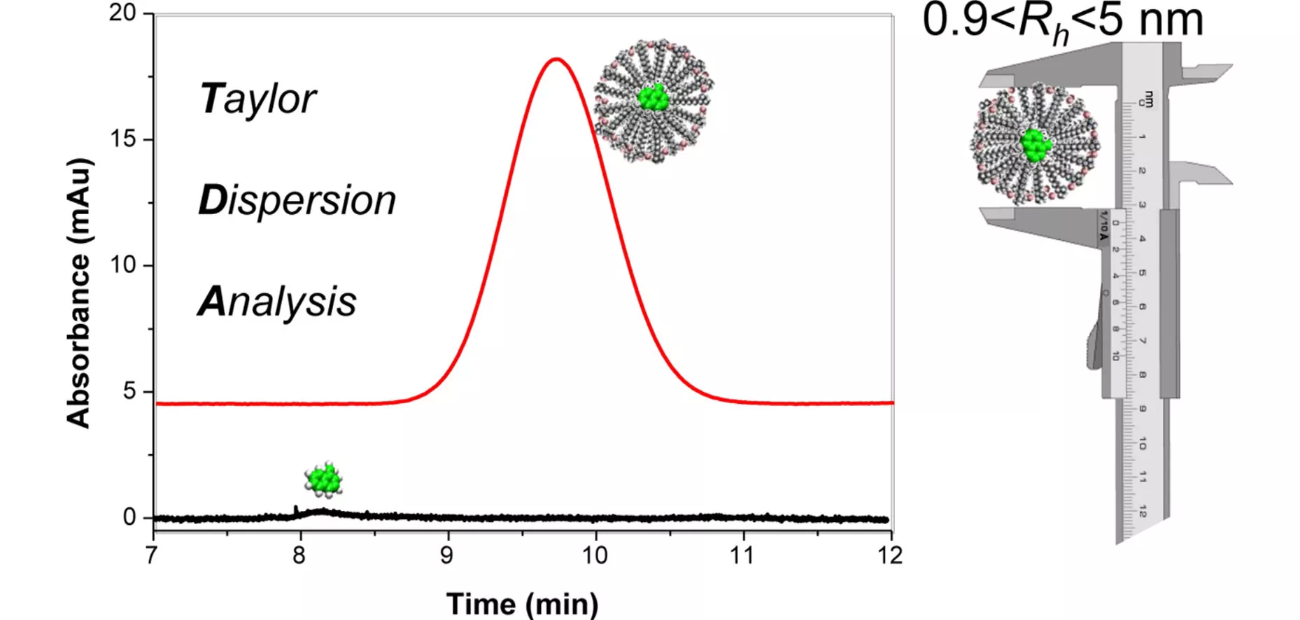 Taylor dispersion analysis