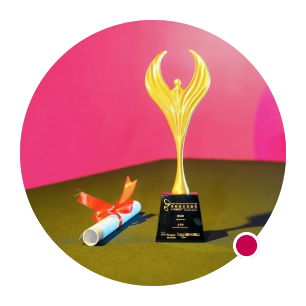 Ringier Innovation Award